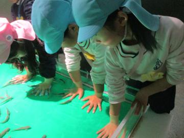 ドクターフィッシュがいる水槽へ手を入れる園児たちの様子