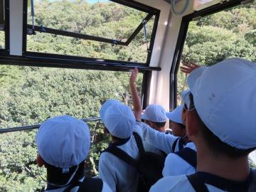 ロープウェーから外の景色を眺める様子