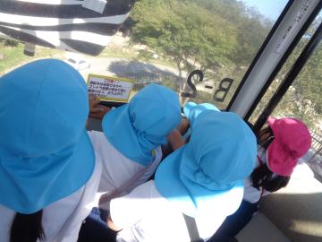 セントラルパーク内でゴンドラに乗る園児たちの様子