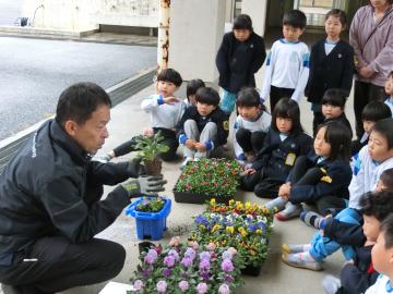 花の苗について説明を受ける児童