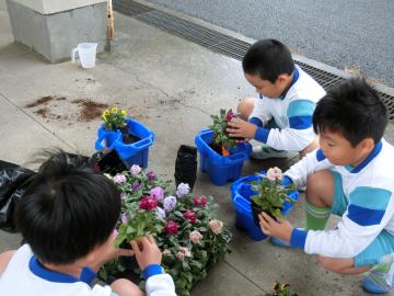 花の苗を手に取って観察している児童