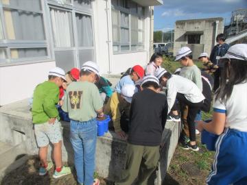 たねうえをしているところ