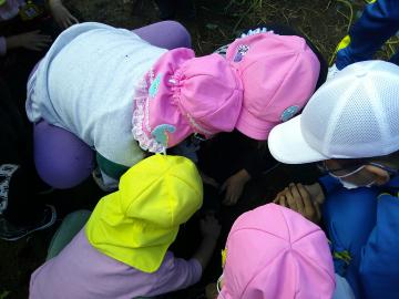 みんなで頭を寄せ合って掘っている様子