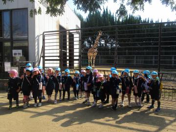 動物園でキリンをみたよ