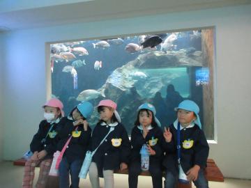 水族館の大きなガラスの前で記念撮影をする園児たち