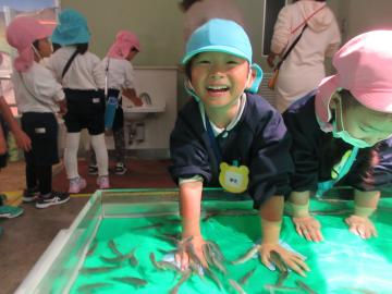 ドクターフィッシュで、たくさん魚が寄ってきたよ