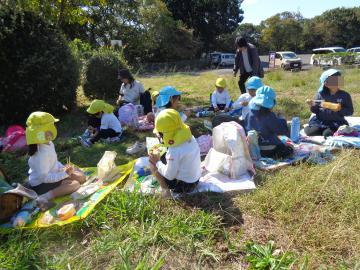 芝生の上にレジャーシートを敷き、園児がお弁当を食べている
