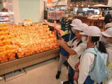 タブレットで写真を撮影する様子