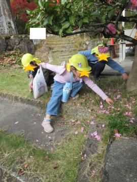 ピンクの花びら(山茶花)を拾う園児