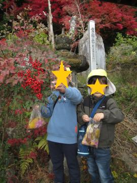 南天の実を集める園児