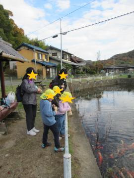 池の鯉に餌やりをする園児
