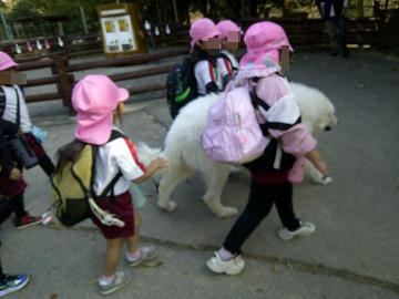 動物と触れ合っている様子