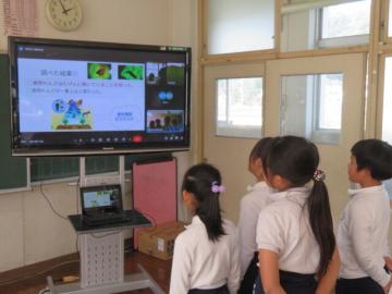 食物連鎖について発表するグループ