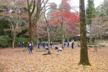落ち葉のじゅうたんで遊びました。