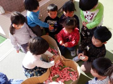クレーンゲームをする幼児