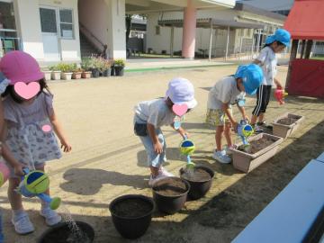 水やりをしている様子