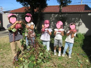 4歳児がサツマイモを持っている様子