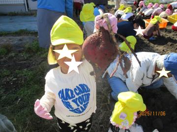 4歳児が大きな芋を収穫しているところ