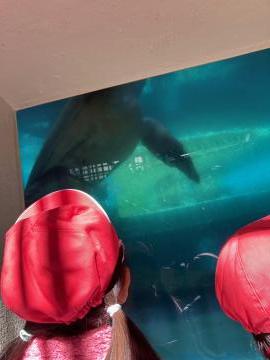 児童たちが水槽内のカメを見学する様子