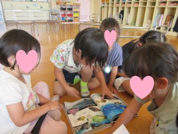 図鑑で魚を探す様子