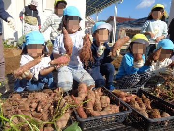 掘れたさつまいもを持って園児が喜んでいる