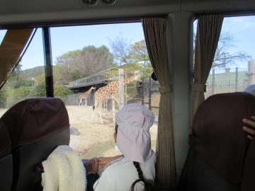 車内から園内の動物を見学する園児たちの様子