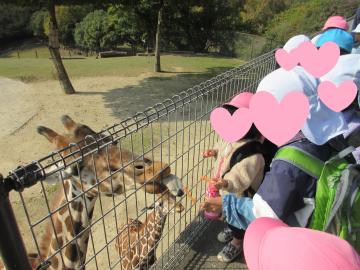 園内で柵ごしにキリンにえさやりしている園児たちの様子
