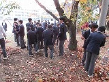 校庭の端で協力して落ち葉を集める生徒たちの様子