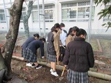 校庭の側溝を掃除する生徒の様子