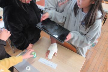 5年生がグループごとに応急手当を実践している様子