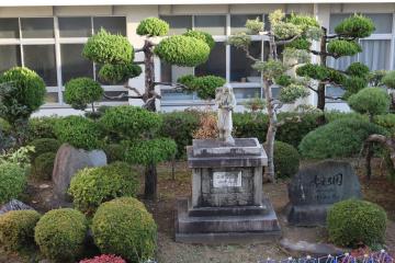 中庭は考える園です