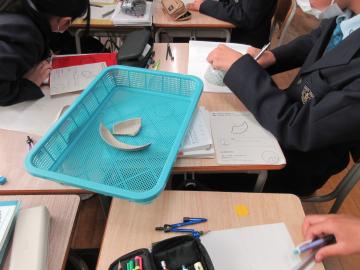 8年生が土器の大きさを求めている様子