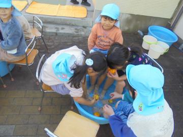 幼児が足湯で柚子をみている場面