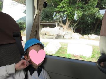 ドライブスルーサファリの車内でサイを見ている園児たちの様子