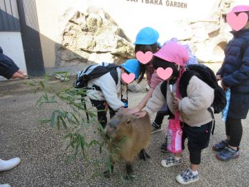 園内でカピバラに触れあう園児たちの様子