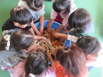 びわを煮出した染め液にエコバックを浸ける幼児