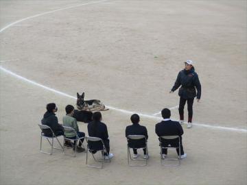 校庭でセラピードッグハンドラーのお話を聞いている参加者の様子