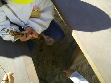 園庭で葉や枝を集めている園児たちの様子