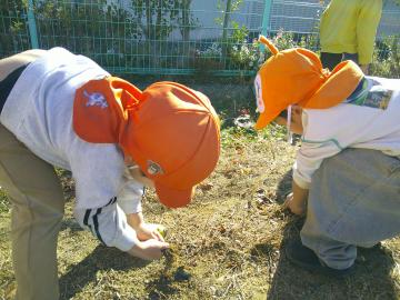 園庭で落ち葉集めをしている園児たちの様子