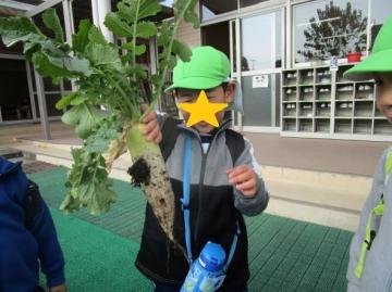 園庭で収穫した野菜を掲げる園児たちの様子