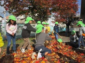 木の下で落ち葉拾いをする園児たちの様子