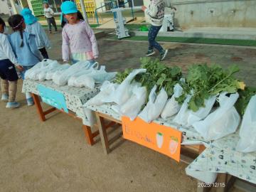 テーブルにダイコンとカブが置かれ、値段の表示がついている様子