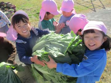 屋外で大きな白菜を二人の子供が抱える様子