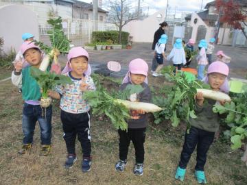 畑で収穫した大根やかぶを嬉しそうに抱える子供たち
