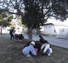 栽培委員会が中庭の草抜きをするようす