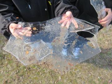 氷を手に持っている