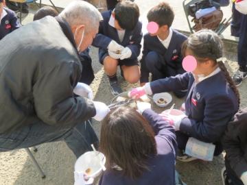校庭で長寿会の方といっしょに七輪でもちを焼く3年生の児童たちの様子
