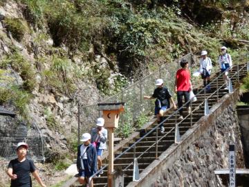 5年生が生野銀山の階段を班ごとに降りてきている様子