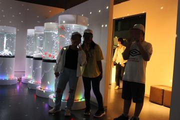 6年生が金魚ミュージアムで鑑賞する様子