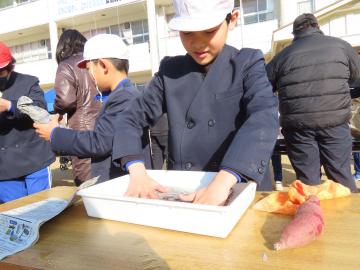 校庭でサツマイモを包む児童の様子